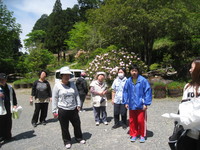 20140512三島さくら法生寺１