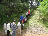 20140512三島さくら法生寺２