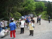 20140512三島さくら法生寺５のサムネール画像